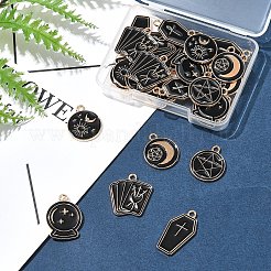 30шт 6 стиля подвески из сплава с эмалью&nbsp;ENAM-FS0002-62