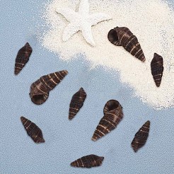 Спиральные бусины из ракушек SSHEL-SC0001-07