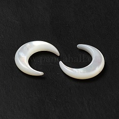 Shell perle bianche naturali&nbsp;BSHE-E026-11