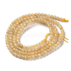 Бусины из натурального желтого граната&nbsp;G-Z129-C01-3mm-01