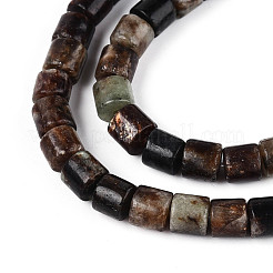 Природного биотита нитей бисера G-T141-88B