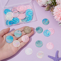 48 шт. 4 стиля подвески из натуральной ракушки капиз с покрытием цвета ab&nbsp;SSHEL-ME0001-04