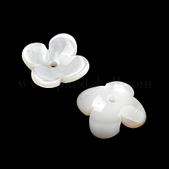 Натуральные пресноводные ракушки BSHE-G034-16