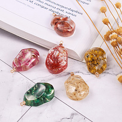 12шт 6 цвета подвески из смолы&nbsp;RESI-CD0001-08