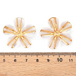 Прозрачные акриловые бусины&nbsp;TACR-T028-18A