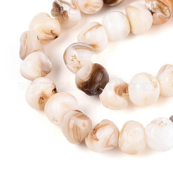 Нити бусин из натуральных пресноводных ракушек SHEL-T020-17