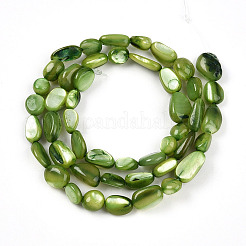 Нити бусин из натуральной белой ракушки SHEL-N036-21D