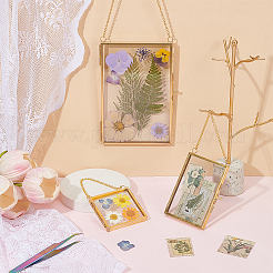 5 cadre photo suspendu en verre pour spécimen de plante&nbsp;AJEW-OC0015-72