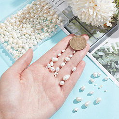 6 нити 6 стилей натуральных культивированных пресноводных жемчужных бусин PEAR-NB0002-36