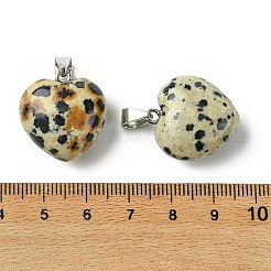 Dalmata naturale ciondoli diaspro&nbsp;G-F820-10A-03