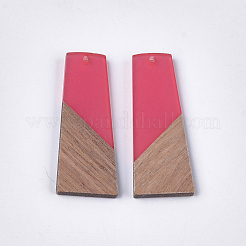 Colgantes de resina y madera de nogal&nbsp;X-RESI-S358-83C
