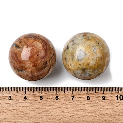 Натуральные бусины из натурального агата без отверстий&nbsp;G-I367-05-10