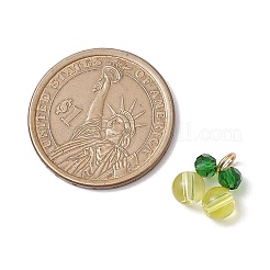 Стеклянные подвески&nbsp;PALLOY-JF02935