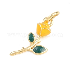 Messing Anhänger & Charms&nbsp;KK-H273-44G-04