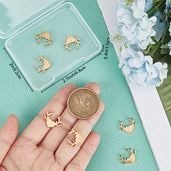 8 шт. подвески из нержавеющей стали 304&nbsp;STAS-BBC0003-09