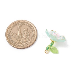 Прозрачные акриловые подвески&nbsp;PALLOY-MZ00822-05