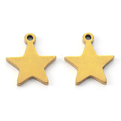 PVD-Vakuumbeschichtung 304 Edelstahl-Anhänger&nbsp;STAS-N092-50G