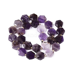 Natürlichen Amethyst Perlen Stränge&nbsp;G-N368-01A-10