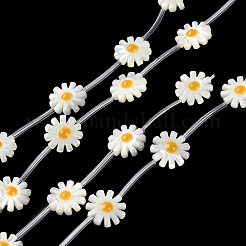 Нити бусин из натуральной ракушки трохус BSHE-E030-06A