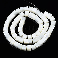Нити бусин из натуральных трохоидных/трохус ракушек SSHEL-S266-008