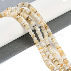 Нити бусин из натуральных пресноводных ракушек BSHE-H109-13B