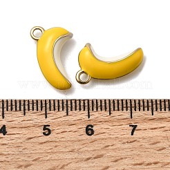 Подвески из нержавеющей стали 304 с эмалью STAS-A127-01G