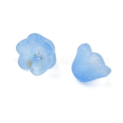 Capuchon de perle en verre dépoli&nbsp;FGLA-C001-01K
