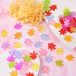 Прозрачные акриловые бусины&nbsp;X-PL711Y