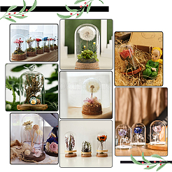 18 шт. 3-х стильная арочная стеклянная купольная крышка FIND-PH0008-78