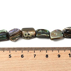 Нити бусин из натуральной раковины морского ушка/ракушки пауа BSHE-D300-01A