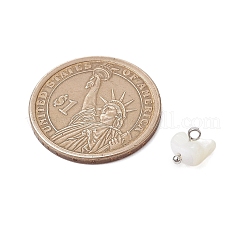 Натуральные трохус ракушки чип брелоки&nbsp;PALLOY-JF03437-02