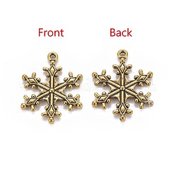 Pendentifs en alliage de zinc de style tibétain&nbsp;X-TIBEP-12740-AG-LF