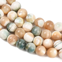 Chapelets de perles de coquillage naturel&nbsp;SH-CBA4F3D-01