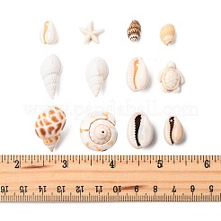 Наборы для самостоятельного изготовления бусин из ракушек DIY-FS0010-25