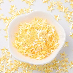 Украшение аксессуаров пластиковая пайетка / блестки бисер PVC-E001-05-RC01