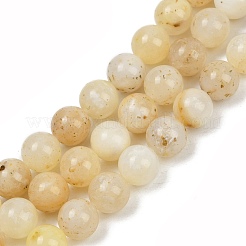 Природные желтые опал бусины пряди G-U026-A05-10mm