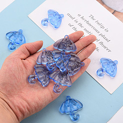 Прозрачные акриловые подвески TACR-T024-01B-940