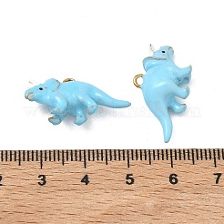 Pendentifs en acier inoxydable 304 émaillés&nbsp;STAS-F347-16A-G