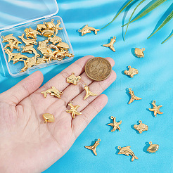 40 шт. 5 набора подвесок из нержавеющей стали 304&nbsp;STAS-UN0045-81