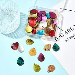 56 шт. BSHE-FS0001-09