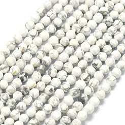 Природные Говлит бисер нитей G-A260-A25-01