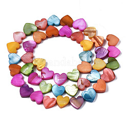 Нити бусин из натуральных пресноводных ракушек SHEL-S278-03A-01