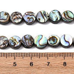 Природные пауа бусы нити&nbsp;BSHE-ZX006-09C