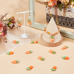 60шт 3 стиля непрозрачные подвески из смолы&nbsp;RESI-SC0005-96