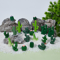 24 шт. 12 стиля смоляной мини-модель кактуса&nbsp;DJEW-SP0001-15
