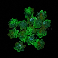 Cabochon luminosi decodificati in resina trasparente&nbsp;RESI-D013-06B