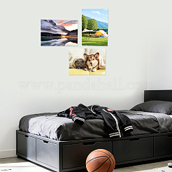 Фотобумага для домашних животных&nbsp;AJEW-WH0752-023A