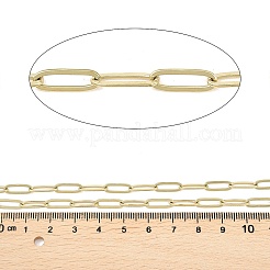 Цепочки из нержавеющей стали 304 со скрепками&nbsp;CHS-P025-01G