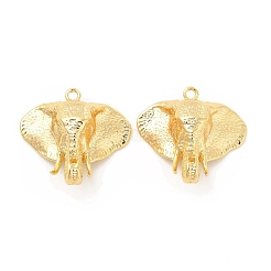 Латунные подвески&nbsp;KK-B062-01G