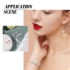 100шт ручной работы бусины лэмпворк&nbsp;LAMP-CJ0001-76